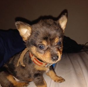 Meet your Posher, Charity